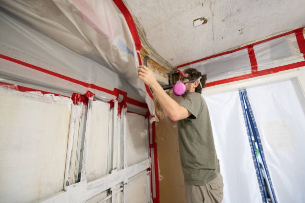 Best Basement Mold Removal  in Hoopa, CA