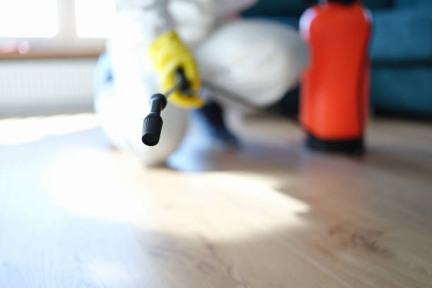 Best Biohazard Mold Removal  in Hoopa, CA