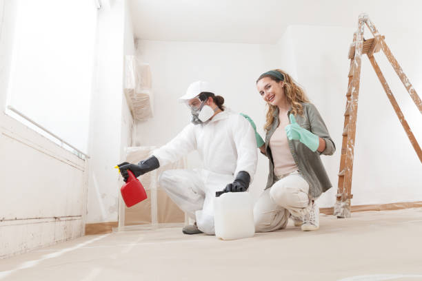 Best Residential Mold Inspection & Testing  in Hoopa, CA