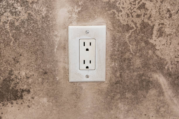 Best Mold Prevention Services  in Hoopa, CA